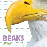 Enlarge image Cover: Beaks - Flowerpot Press