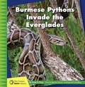 Cover: Burmese Pythons Invade the Everglades - Cherry Lake Publishing