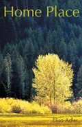 Cover: Home Place - Booklocker.com