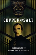 Cover: Copper and Salt - Shields Up Publishing
