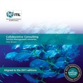 Cover: Collaborative Consulting - The Stationery Office Ltd