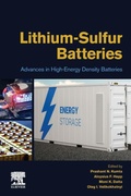 Cover: Lithium-Sulfur Batteries - Elsevier