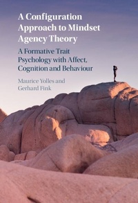 Abbildung von: A Configuration Approach to Mindset Agency Theory - Cambridge University Press