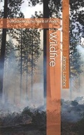 Cover: Wildfire - James Lasher