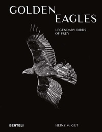 Abbildung von: Golden Eagles: Legendary Birds of Prey - Benteli