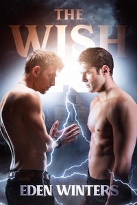 Enlarge image Cover: The Wish - Rocky Ridge Books