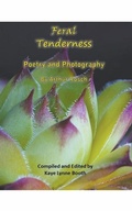 Cover: Feral Tenderness - WordCrafter Press