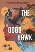 Cover: The Good Hawk - Walker Books Us