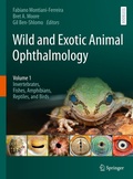 Bild: Wild and Exotic Animal Ophthalmology - Springer