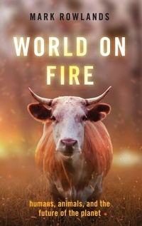 Enlarge image Cover: World on Fire - Oxford University Press Inc