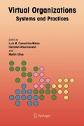 Cover: Virtual Organizations - Springer