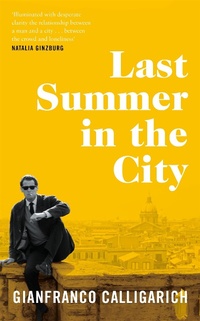 Abbildung von: Last Summer in the City - Picador