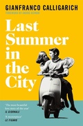 Cover: Last Summer in the City - Picador
