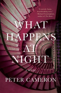 Enlarge image Cover: What Happens at Night - Catapult