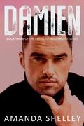 Cover: Damien (The Perfectly Independent Series, #3) - Amanda Shelley