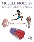 Cover: Muscle Biology - Academic Press