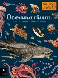 Enlarge image Cover: Oceanarium - Big Picture Press