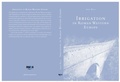 Cover: Irrigation in Roman Western Europe - Papierflieger