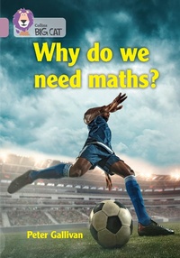 Enlarge image Cover: Why do we need maths? - Collins