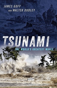 Abbildung von: Tsunami - OUP eBook