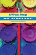 Cover: A Virtual Image - Michael Walmer