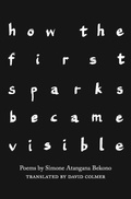 Cover: how the first sparks became visible - The Emma Press