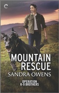 Cover: Mountain Rescue - Carina Press