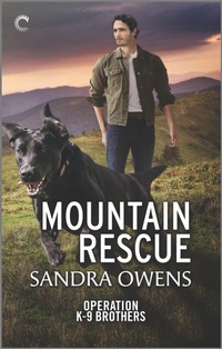 Enlarge image Cover: Mountain Rescue - Carina Press