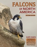 Cover: Falcons of North America - Mountain Press