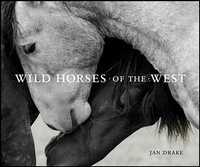 Abbildung von: Wild Horses of the West - Gibbs Smith