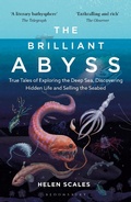 Cover: The Brilliant Abyss - Bloomsbury Sigma