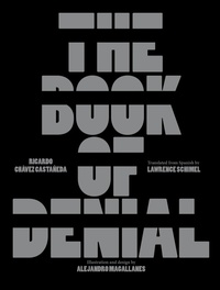 Enlarge image Cover: The Book of Denial - Enchanted Lion Books