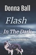 Cover: Flash in the Dark - Blue Merle Publishing