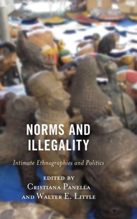 Enlarge image Cover: Norms and Illegality - Lexington Books