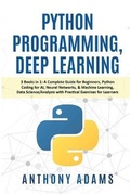 Cover: Python Programming, Deep Learning - Big Book Ltd