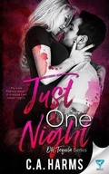 Cover: Just One Night - Limitless Publishing LLC