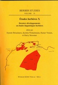 Cover: &Eacute;tudes berb&egrave;res X - Derniers d&eacute;veloppements en &eacute;tudes linguistiques berb&egrave;res - K&ouml;ppe, R