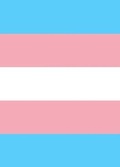 Cover: Transgender Pride Flag Sketch Journal - Bunny 17 Media