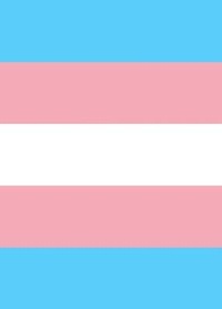 Enlarge image Cover: Transgender Pride Flag Journal - Bunny 17 Media
