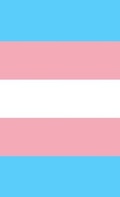 Cover: Transgender Pride Flag Journal - Bunny 17 Media