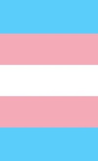 Enlarge image Cover: Transgender Pride Flag Journal - Bunny 17 Media
