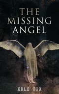 Cover: The Missing Angel - e-artnow