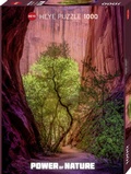 Cover: Singing Canyon Puzzle - Heye