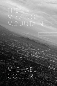 Enlarge image Cover: The Missing Mountain - University of Chicago Press
