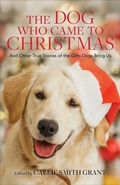 Cover: The Dog Who Came to Christmas - And Other True Stories of the Gifts Dogs Bring Us - Revell, a division of Baker Publishing Group