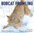 Cover: Bobcat Prowling - First Second