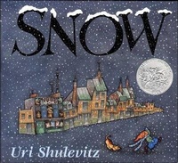 Enlarge image Cover: Snow - Turtleback
