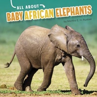 Enlarge image Cover: Baby African Elephants - Capstone Press