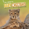 Cover: Baby Cheetahs - Capstone Press