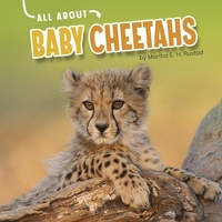 Enlarge image Cover: Baby Cheetahs - Capstone Press